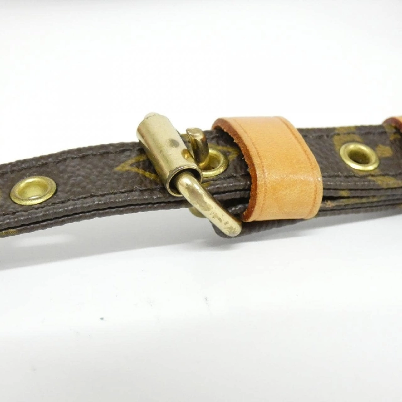 Túi đeo vai Louis Vuitton Monogram Amazon M45236 608574