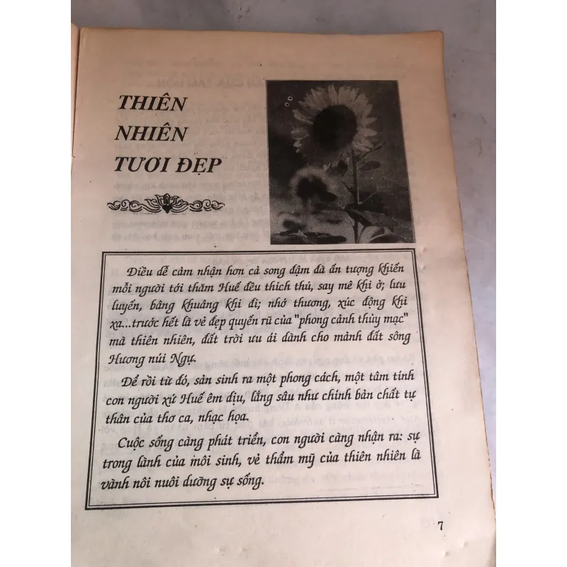 Cố đô Huế - đẹp và thơ 800135