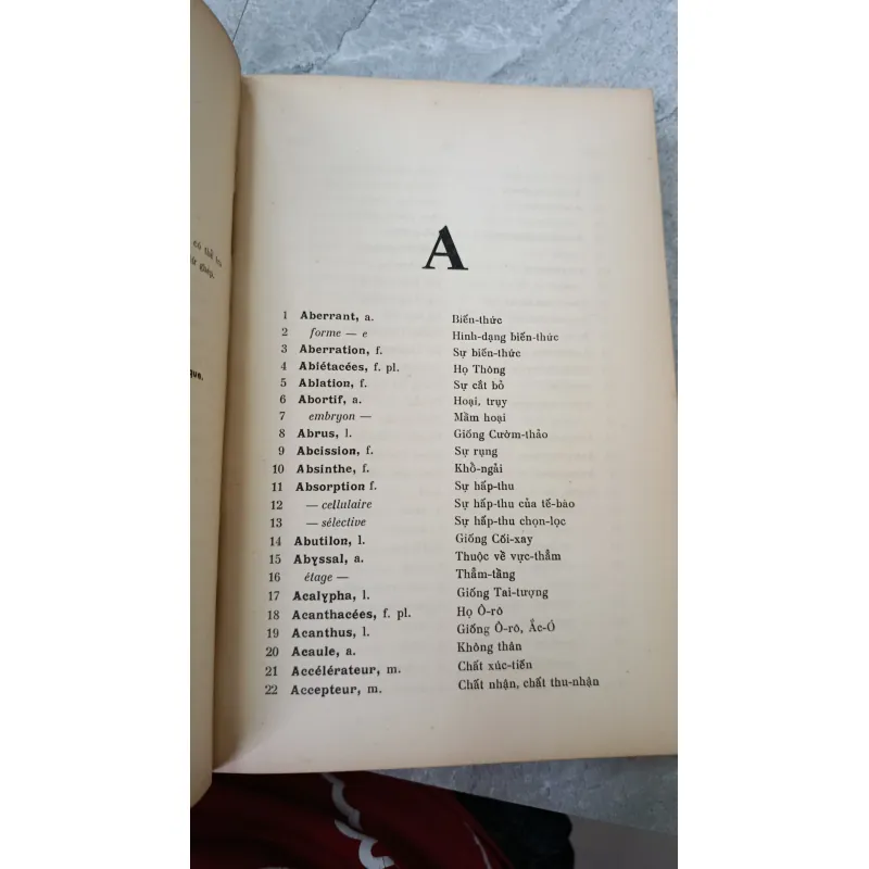 DANH TỪ THỰC VẬT PHÁP VIỆT 749478
