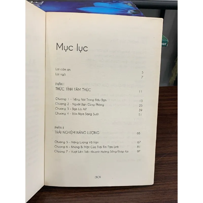 Cởi Trói Linh Hồn – Michael A. Singer 576022