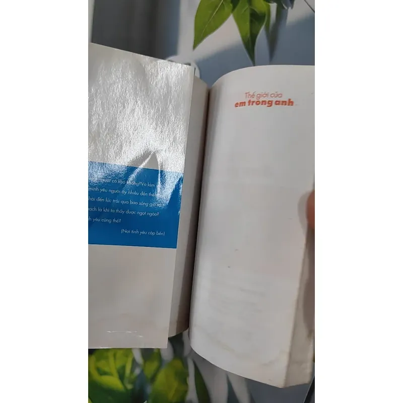 Thế giới của em trong anh 798378