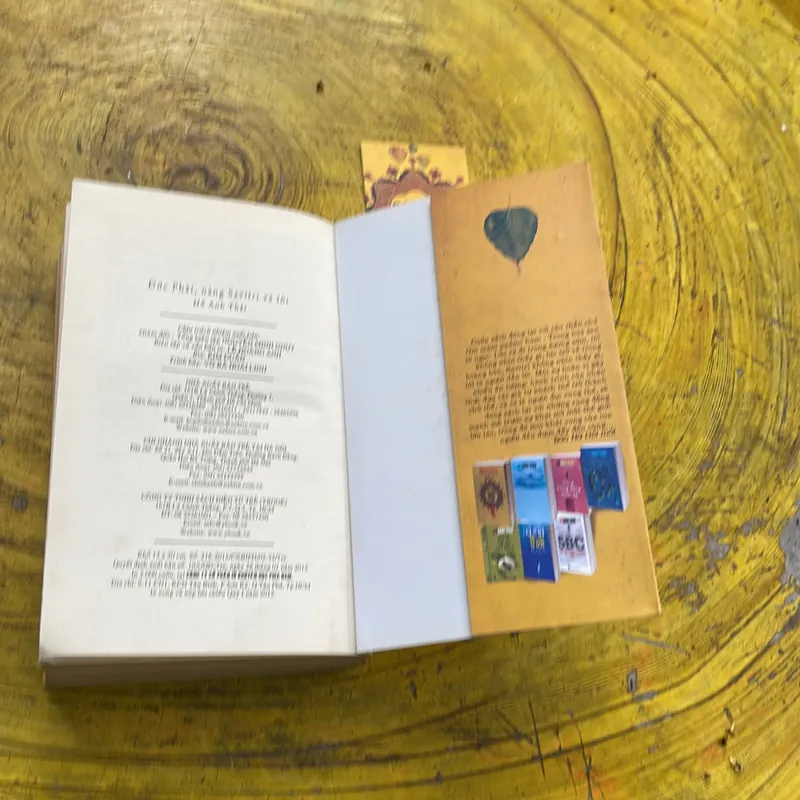 ĐỨC PHẬT , NÀNG SAVITRI VÀ TÔI - HỒ ANH THÁI 711942