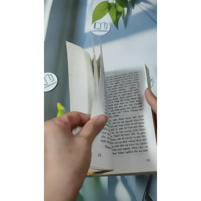 Cơ Sở Văn Hóa Việt Nam 928591