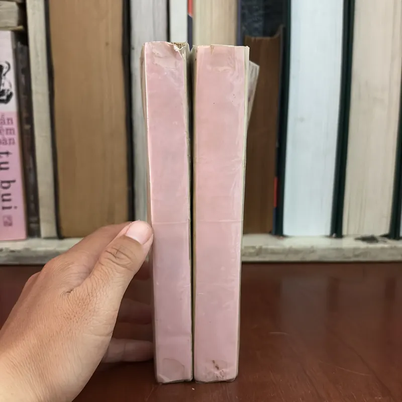 II Sách Xưa: Ba Người Bạn (Trọn Bộ 2 Tập) - E. MARIA RƠMAC - 1988 590490