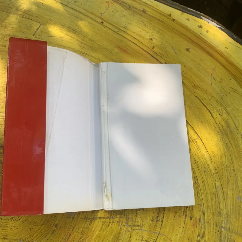 COMBO TUYỂN TẬP NHỮNG CA KHÚC TIẾNG ANH BẤT HỦ TẬP 1- 20 TRUYỆN NGẮN CHỌN LỌC ANH- VIỆT PH 763378