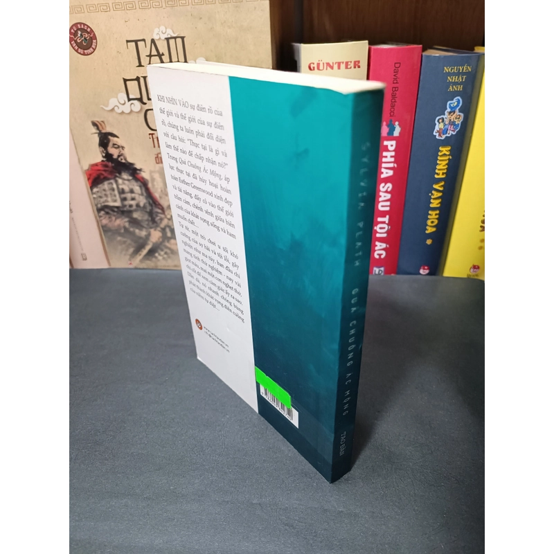 Quả chuông ác mộng (Sylvia Plath) 315051