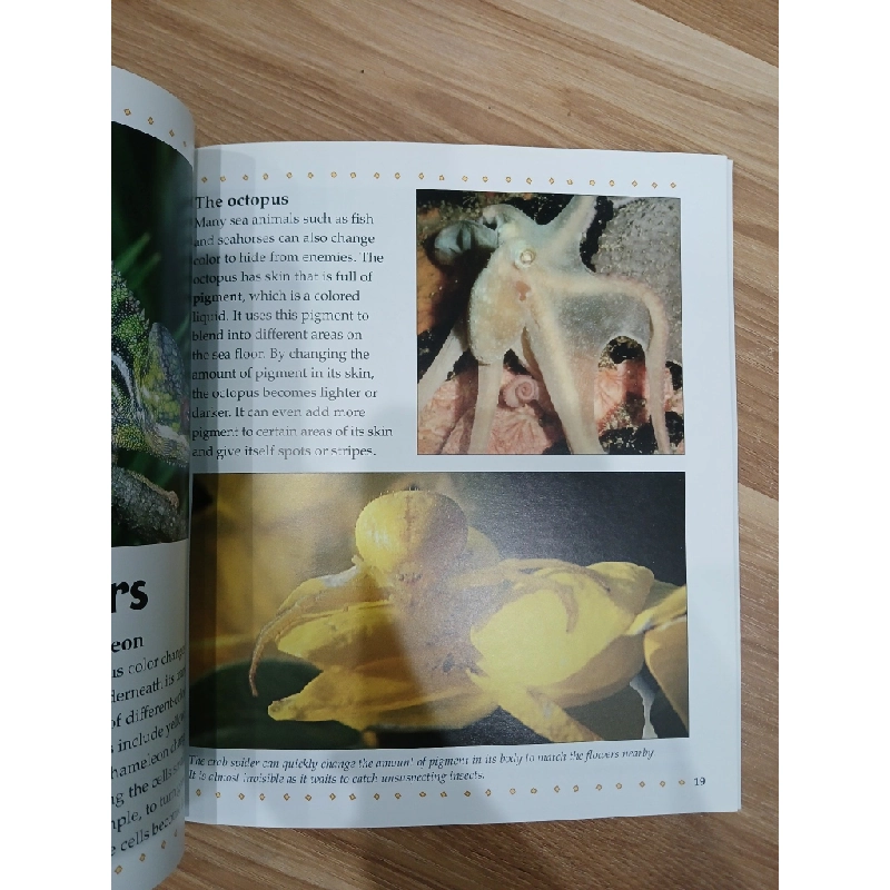 What are Camouflage and Mimicry? - Bobbie Kalman 547747