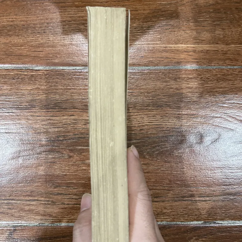 Ấn Độ huyền bí – Paul Brunton (8) 758243