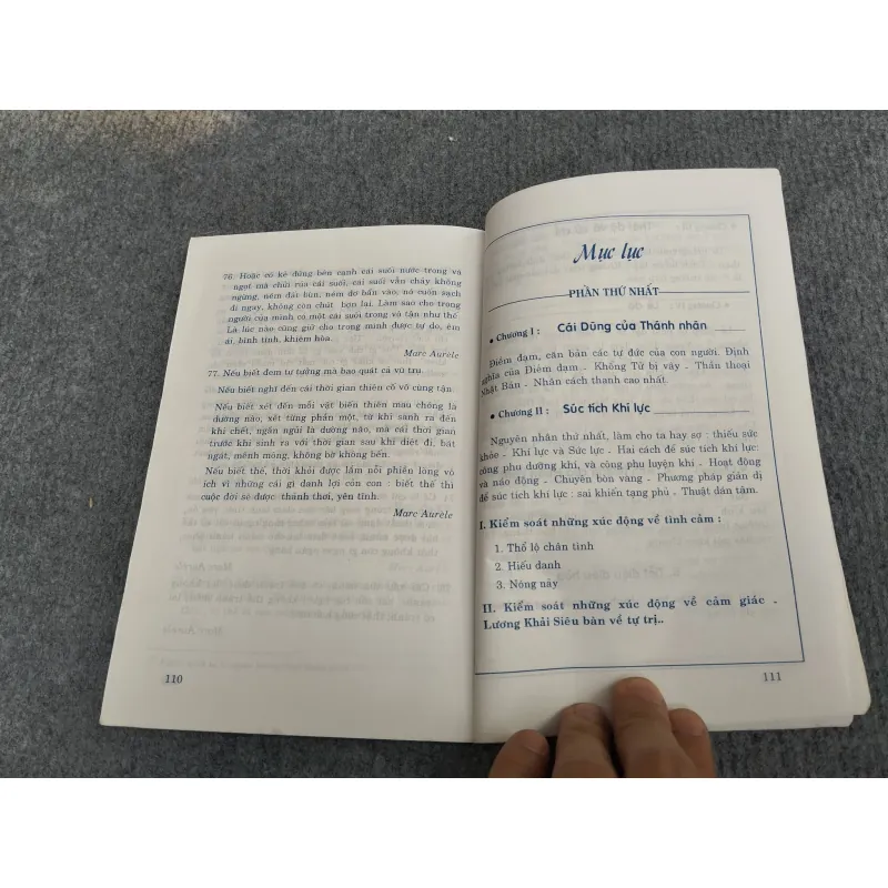 CÁI DŨNG CỦA THÁNH NHÂN 993188