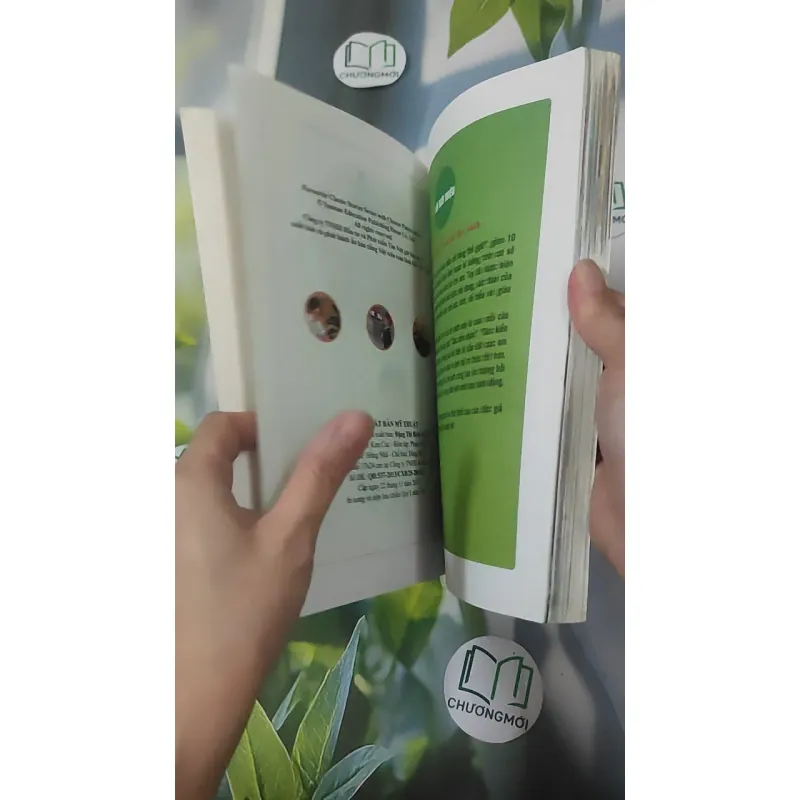 Câu Chuyện Danh Nhân 1018935