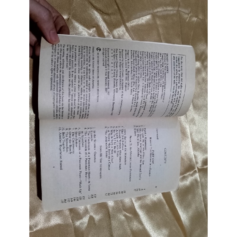 The brothers Karamazov 4696