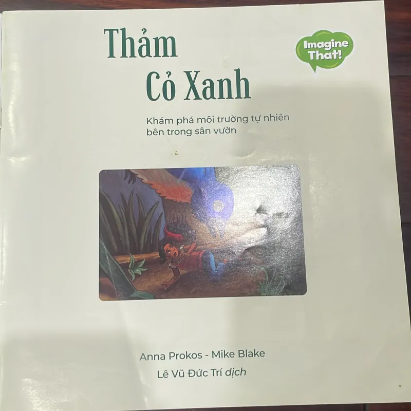 Thảm cỏ xanh - khám phá môi trường tự nhiên bên trong sân vườn  - hộp háo hức  1028175