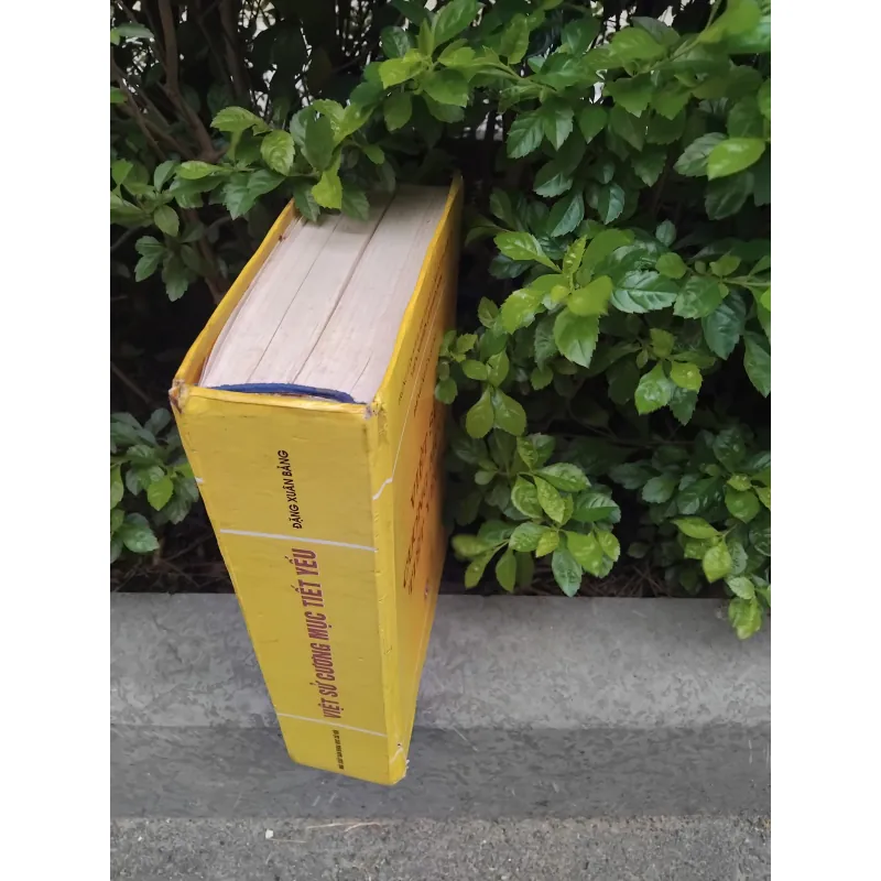 Việt sử cương mục tiết yếu của Đặng Xuân Bảng  1001930