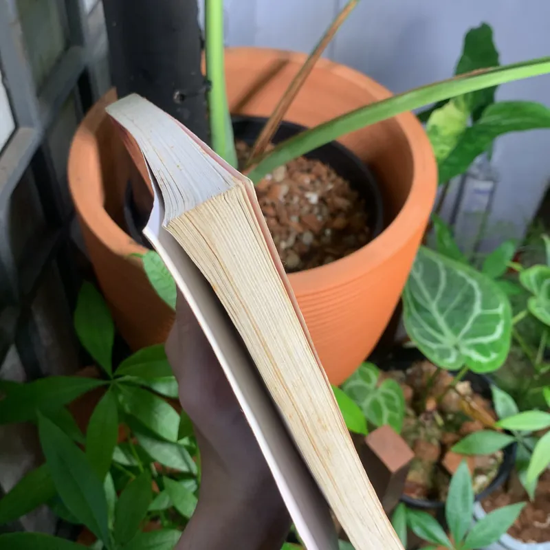 Truyện ngắn Chiếc Lá Cuối Cùng - O’Henry 673863