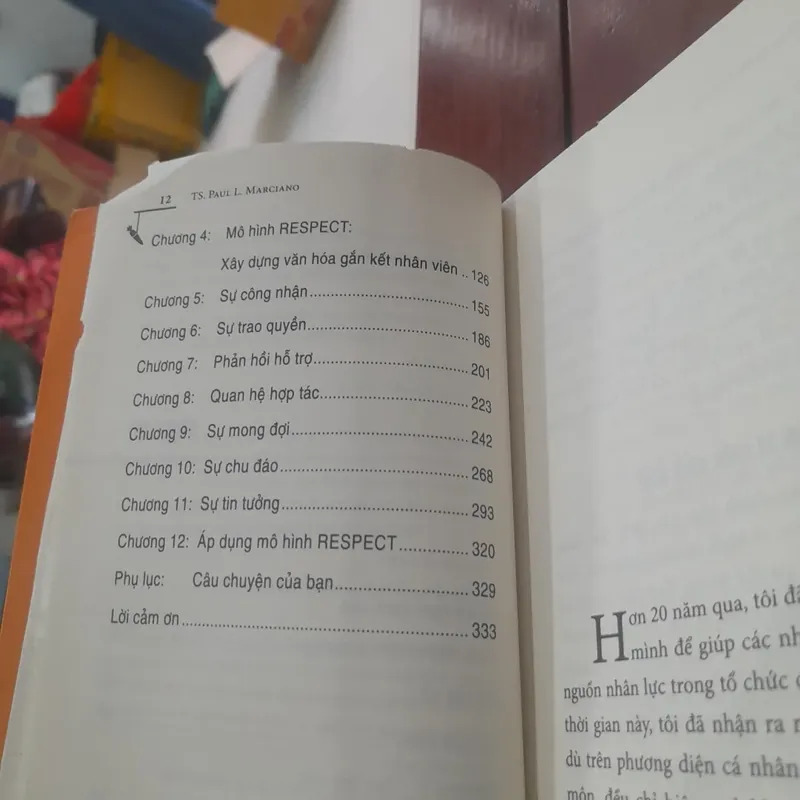 Tạm biệt CÀ RỐT và CÂY GẬY 720365