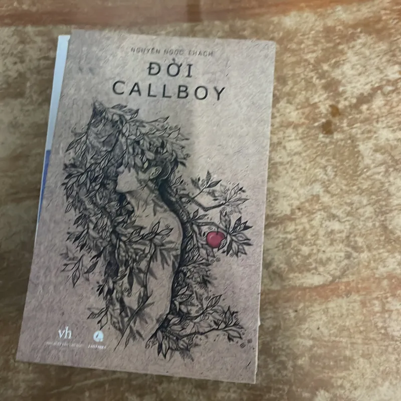 COMBO 11 TÁC PHẨM CHỌN LỌC NGUYỄN NGỌC THẠCH- ĐÒI CALLBOY- KHÓC GIỮA SÀI GÒN- LẠC GIỮA … 675386