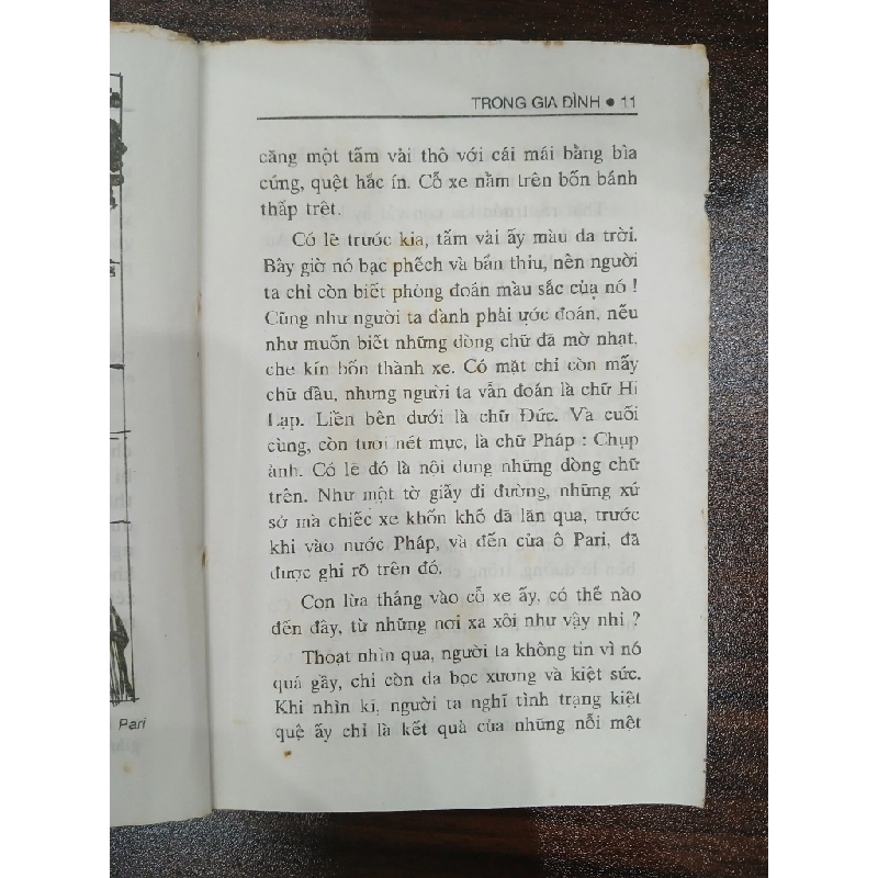 Trọng tài gà đình 549578