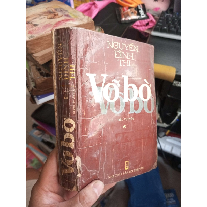 Vỡ Bờ - Nguyễn Đình Thi 1993 mới 70% ố ẫm Văn học Việt Nam HCM1004 1007451