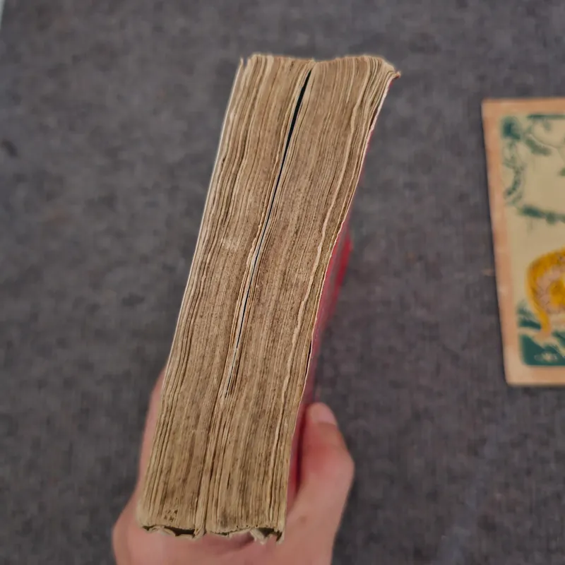 Tình yêu thời thổ tả - Marquez 736881