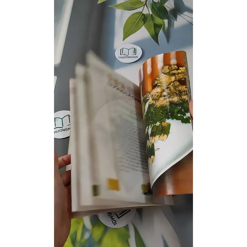 Combo Ẩm Thực: Các Món Ăn Nhẹ, Món Ăn Ngon & Lạ, Dinh Dưỡng Sức Khoẻ Mùa Thi, Các Món Giả 727285