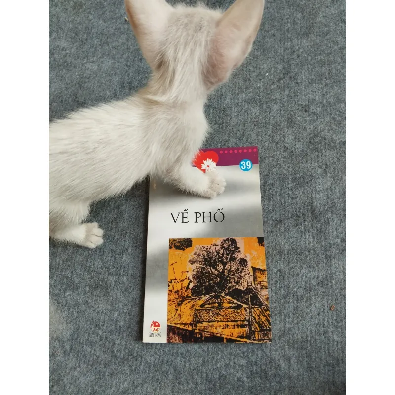 VỀ PHỐ - ĐINH LÊ VŨ 567826