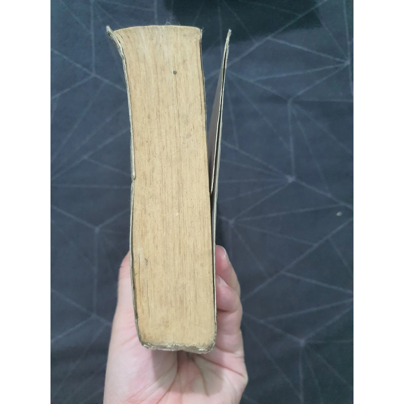 "Thời niên thiếu không thể quay lại ấy" (tập 2) - Đồng Hoa 538938