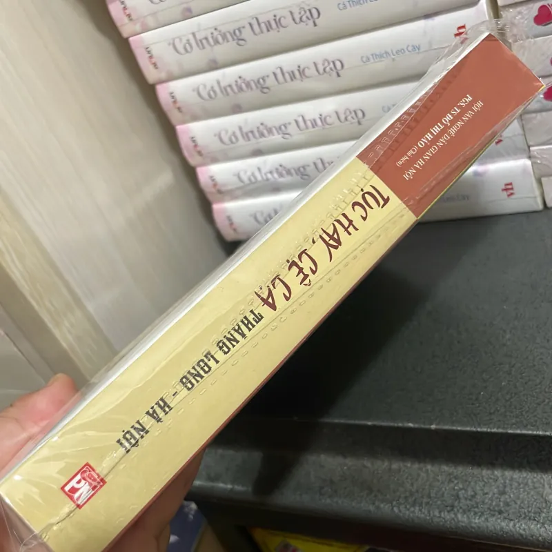 Tục hay , Lệ lạ Thăng Long - Hà Nội - PGS. TS Đỗ Thị Hảo ( chủ biên) 997399