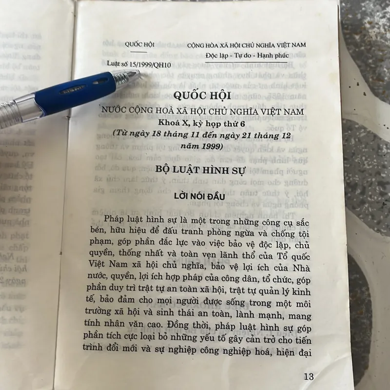 Bộ luật Hình sự 1999  307804