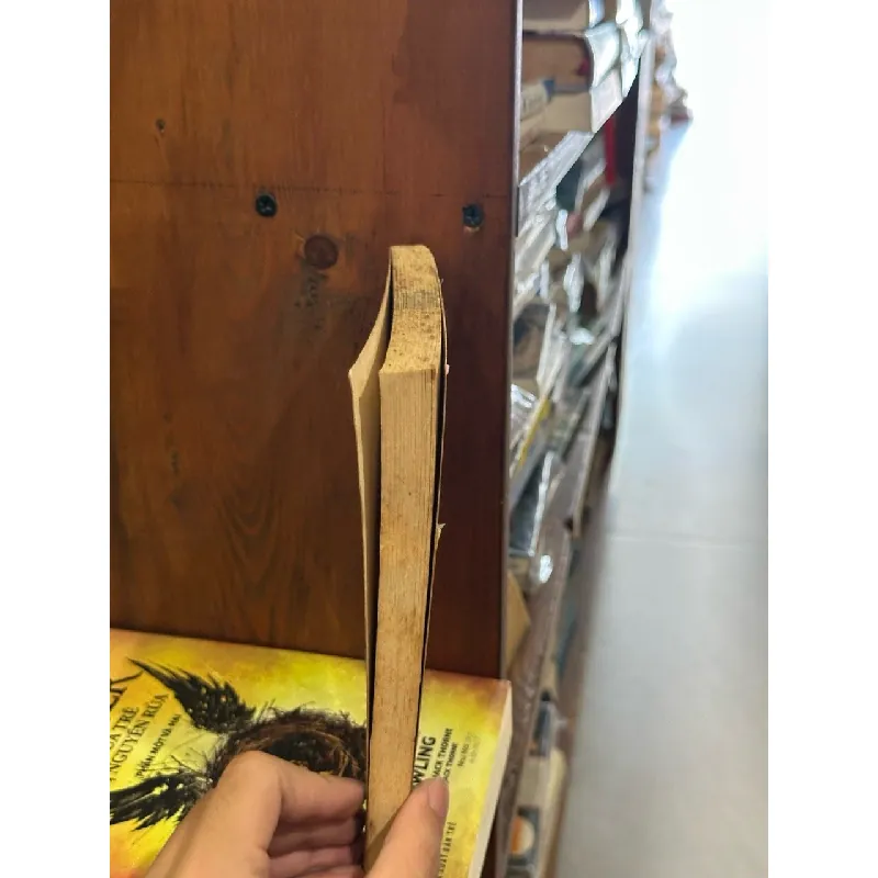 Le Masque Hanté - R.L.Stine & Série Chair de poule 609496