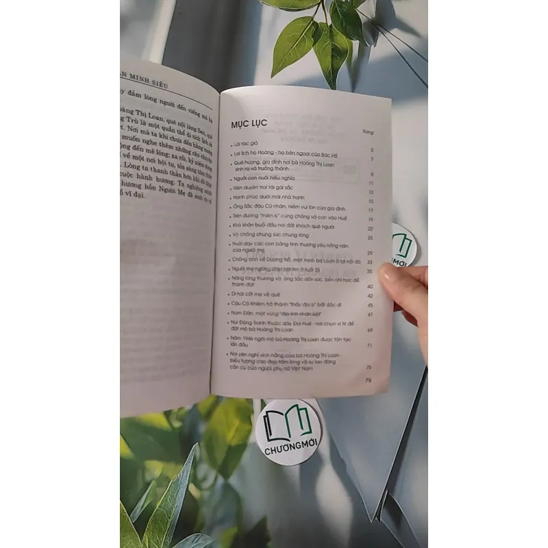 Chuyện Kể Bên Mộ Bà Hoàng Thị Loan - Bá Ngọc & Trần Minh Siêu 970228