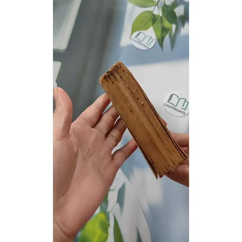 [MIỄN PHÍ BỌC SÁCH] [XƯA] Tự Điển Anh-Việt Tiêu Chuẩn (1968) - Lê Bá Khanh Lê Bá Kông 776076