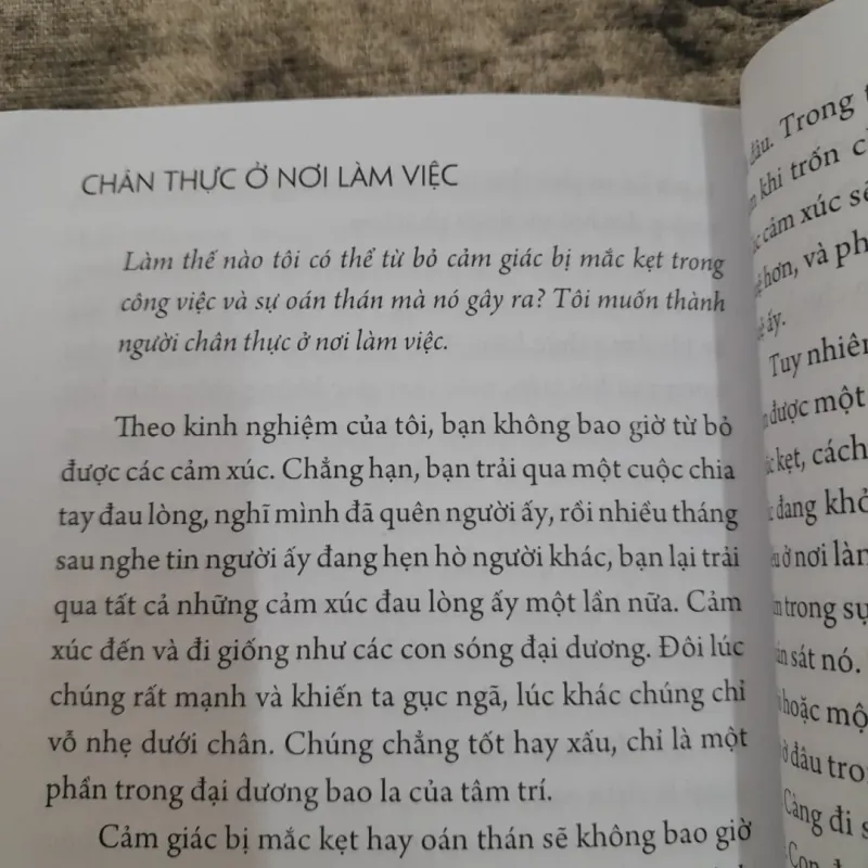 Sách Thiền Tâm - Bước đi như Phật. Tác giả Lodro Rinzler 756608