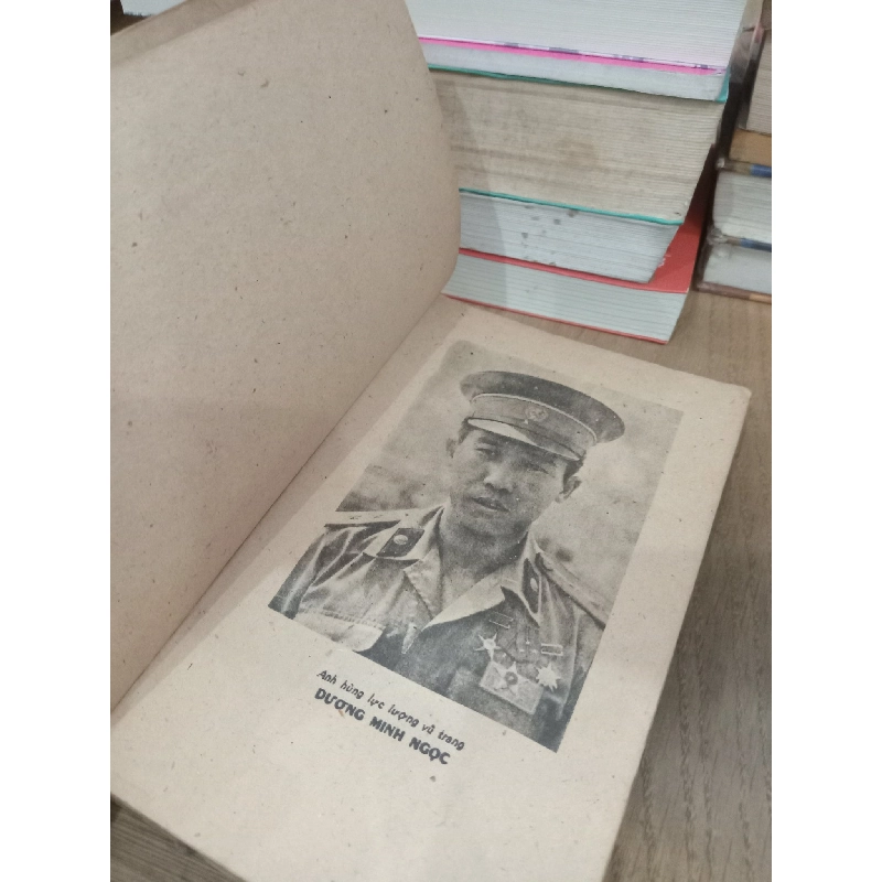 Phượng hoàng trên đường phố - Mai Anh Thảo 732669