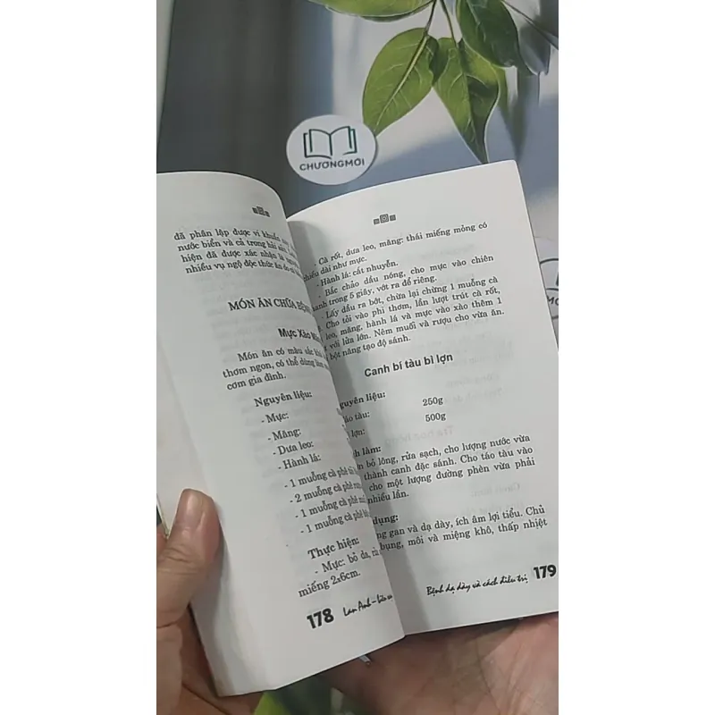 Bệnh dạ dày và cách điều trị - Lan Anh 688456