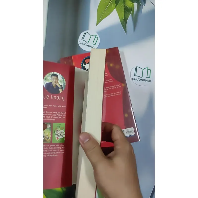 [XƯA] Vòng Tròn Bội Bạc (1999) - Chu Lai 798521