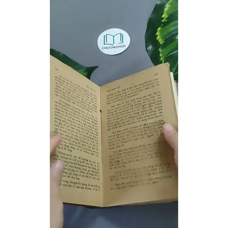 Trà Hoa Nữ 604659