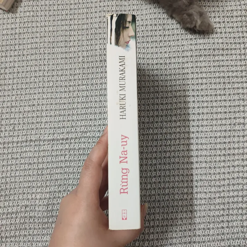 Rừng Na Uy 1030331