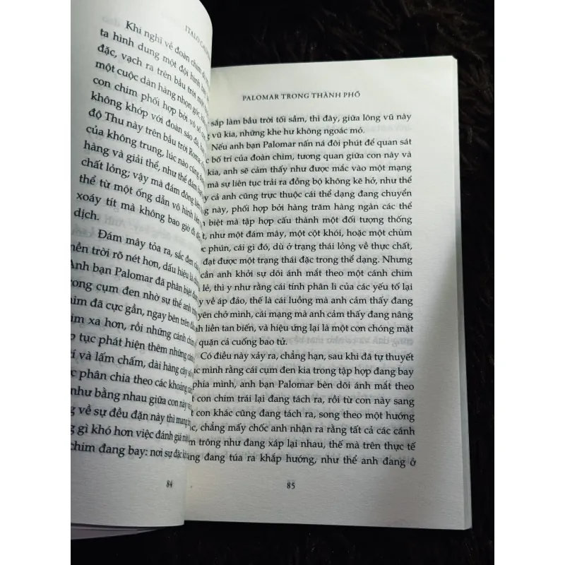 Combo 2c Italo Calvino 1022215