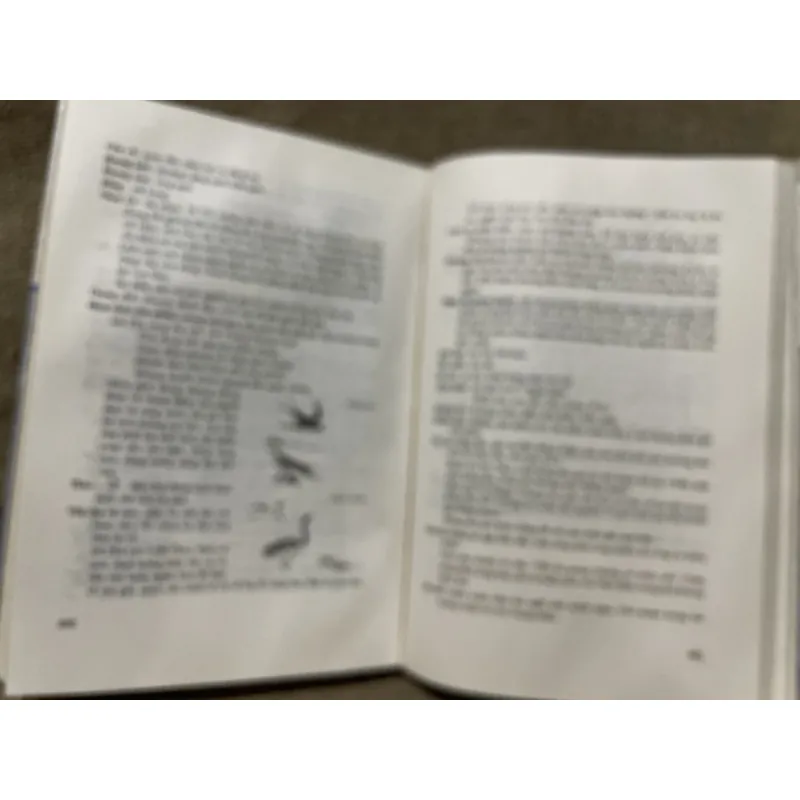 Tổng tập văn học Việt Nam 13B - Ngâm khúc  971445