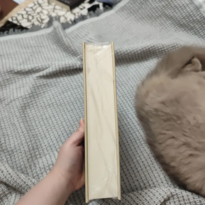 Hai số phận bìa cứng 736292