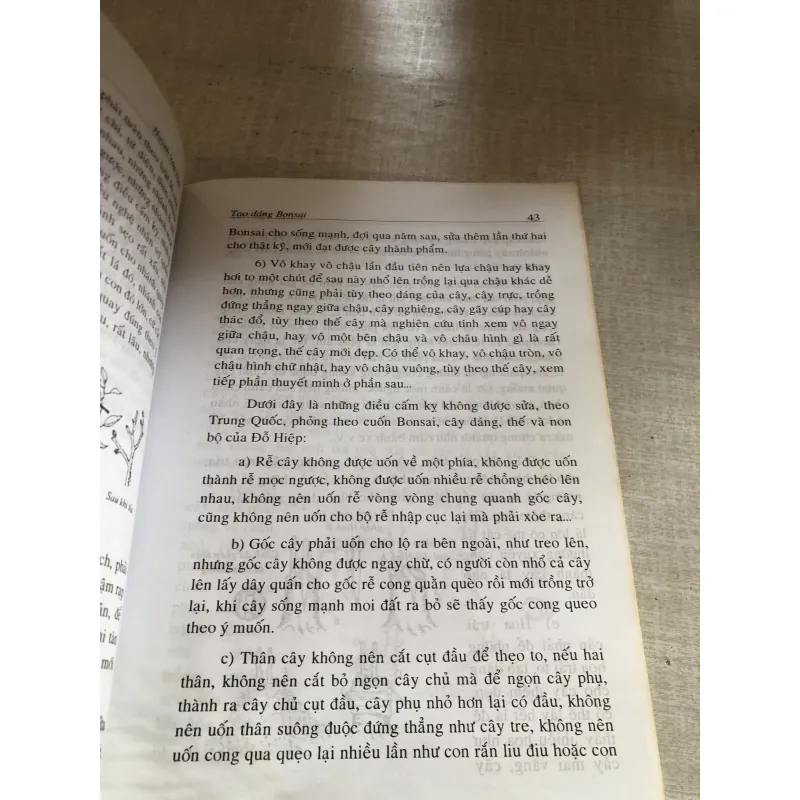 Tạo dáng bonsai 780635