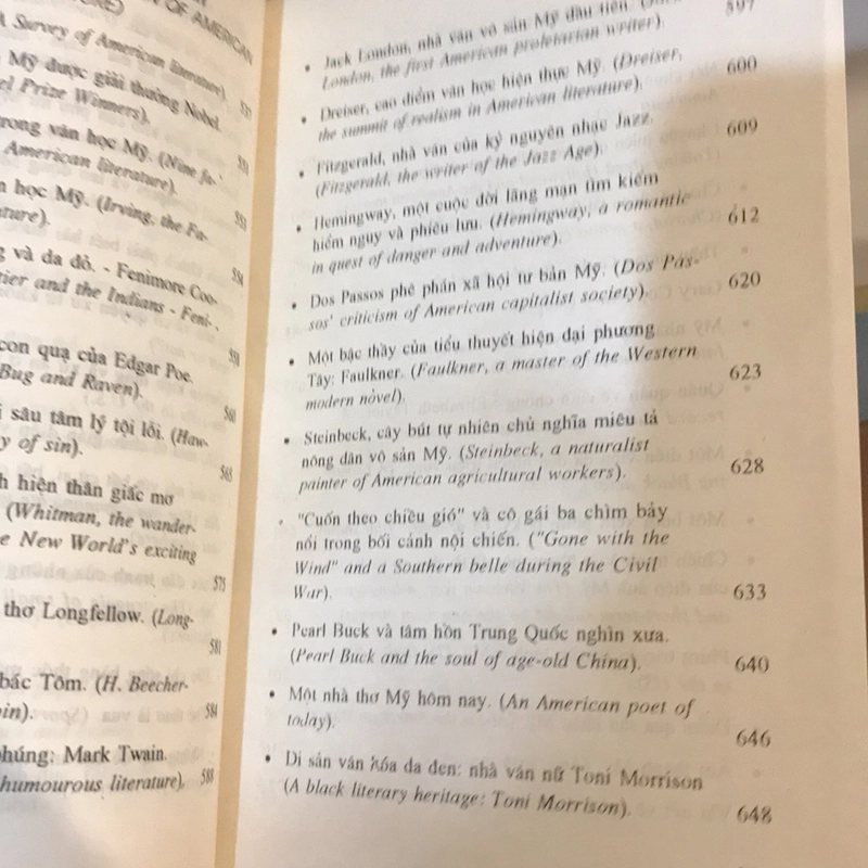 HỒ SƠ VĂN HÓA MỸ 500323