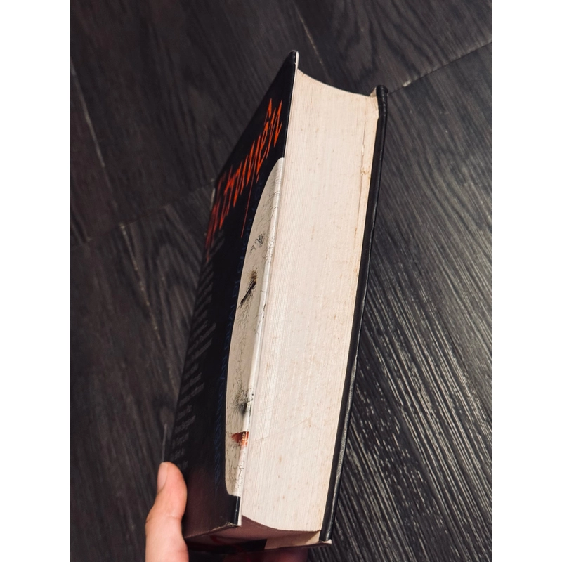 Dị truyện (bìa cứng) 537125