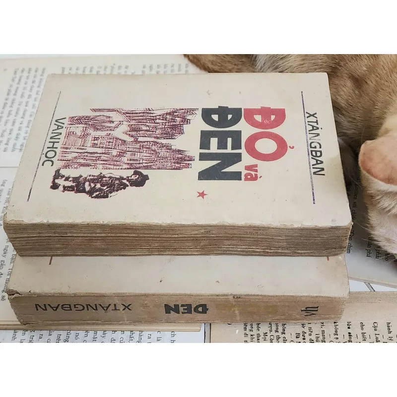 ĐỎ VÀ ĐEN - Tác phẩm văn học kinh điển của Stendhal 703580