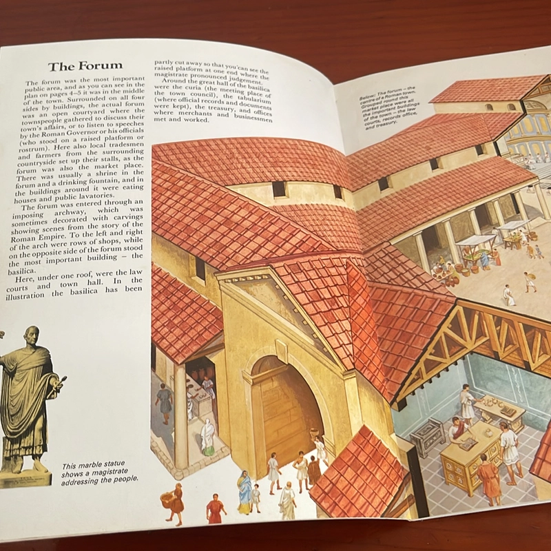 PICTURE BOOK See inside a Roman town 534354
