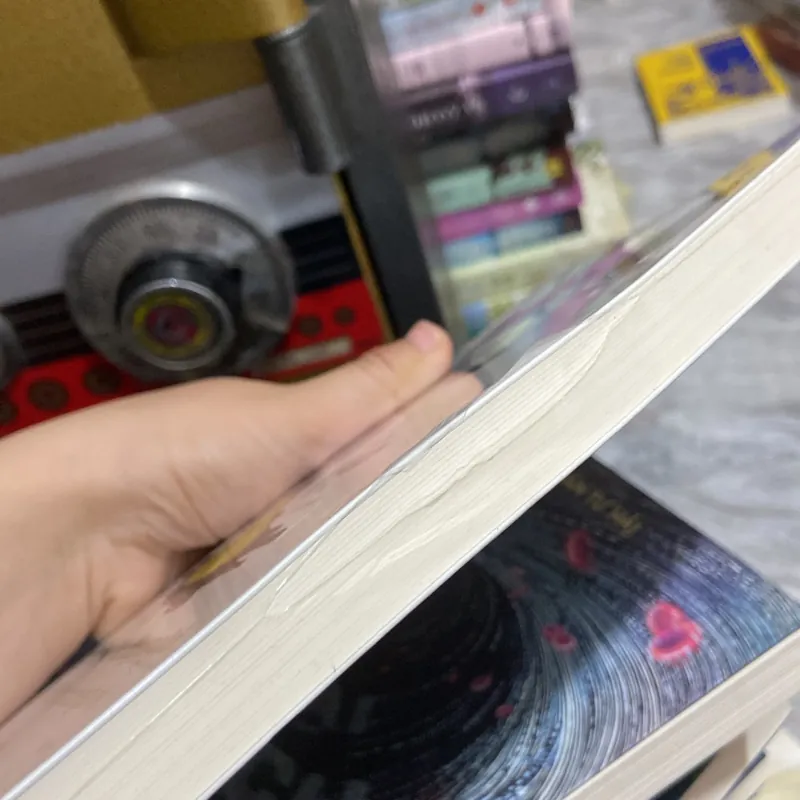 (Tự truyện) - Nghề giúp việc - Stephanie Land 972485