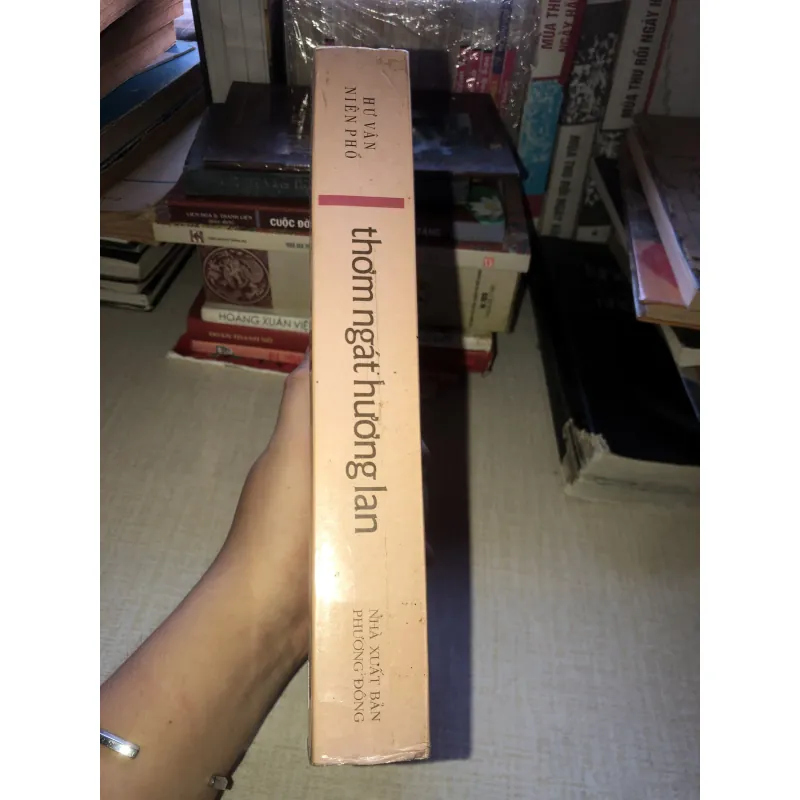 Thơm ngát hương lan, Hư vân niên phổ  935181