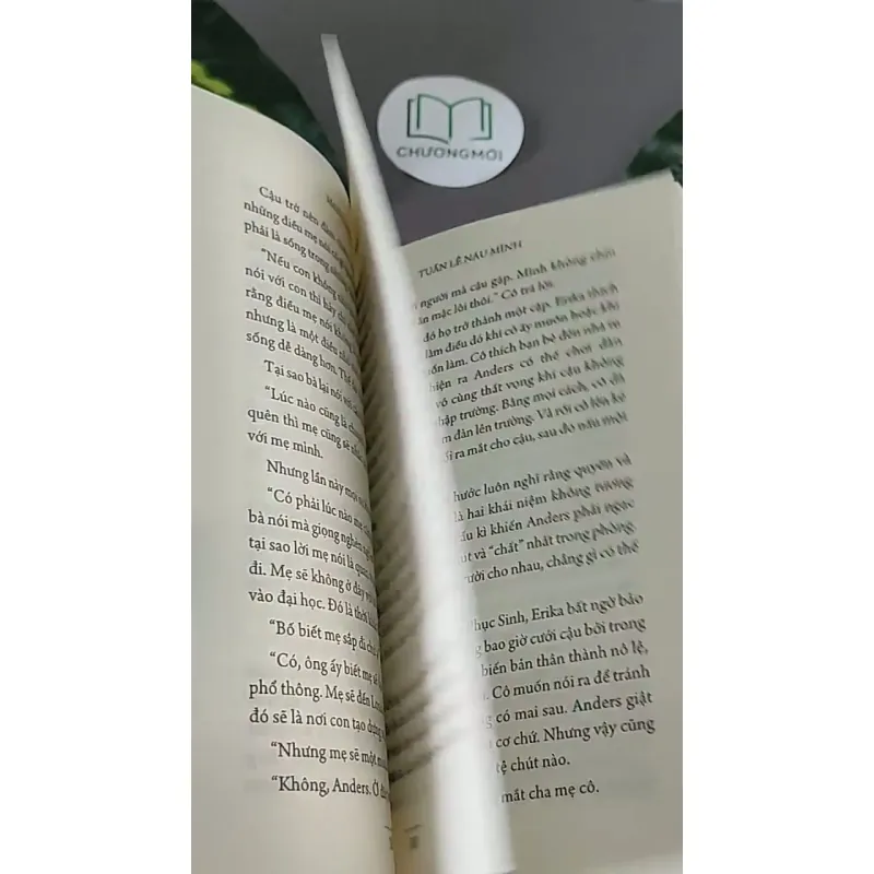 Tuần Lê Náu Mình (2017) - Maeve Binchy 604469