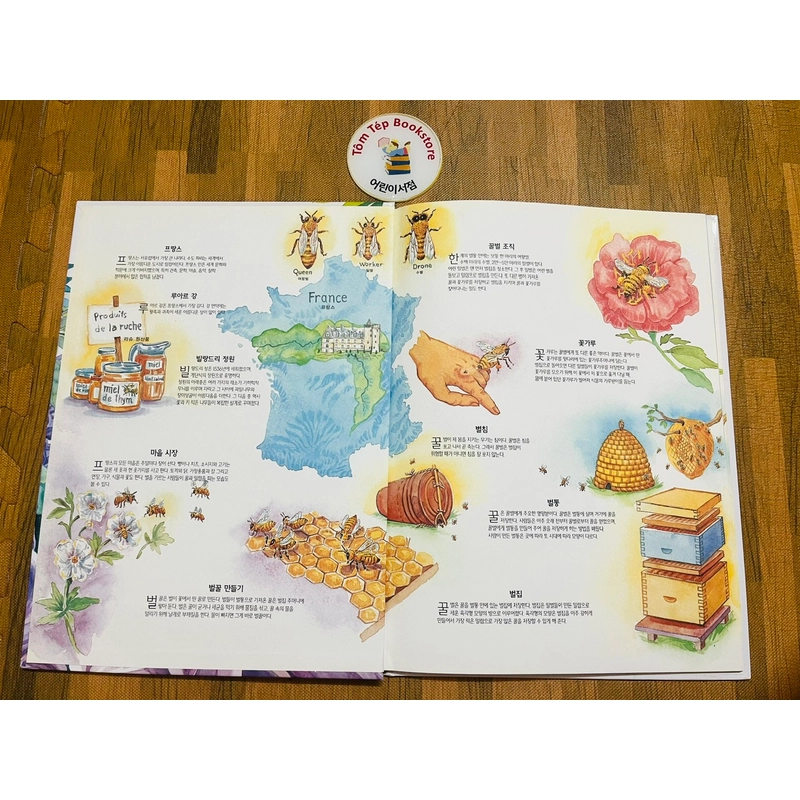 Set sách tranh tiếng Hàn 아이성장 그림책 - bìa cứng khổ to 501527
