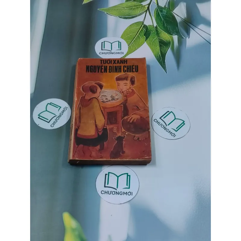Tuổi Xanh Nguyễn Đình Chiểu (1987) - Thái Vũ 674974